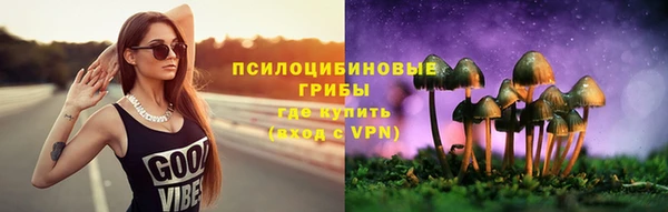 2c-b Алзамай