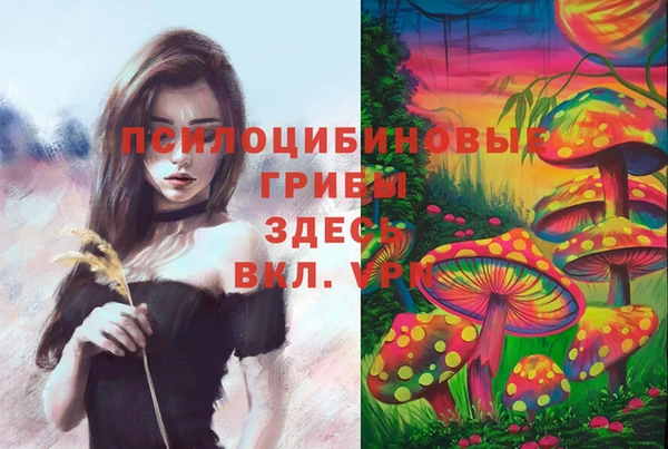 синтетический гашиш Алексеевка