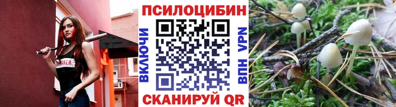 хочу наркоту  Берёзовский  Псилоцибиновые грибы GOLDEN TEACHER 